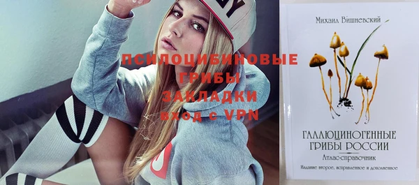 2c-b Михайлов